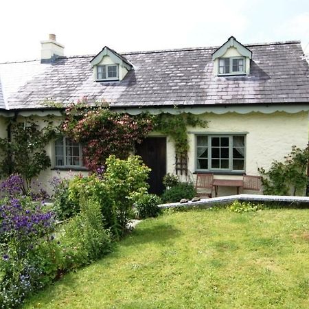 Parc Y Brenin Villa Dryslwyn Eksteriør billede