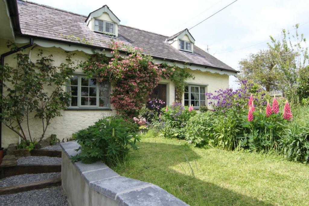 Parc Y Brenin Villa Dryslwyn Eksteriør billede