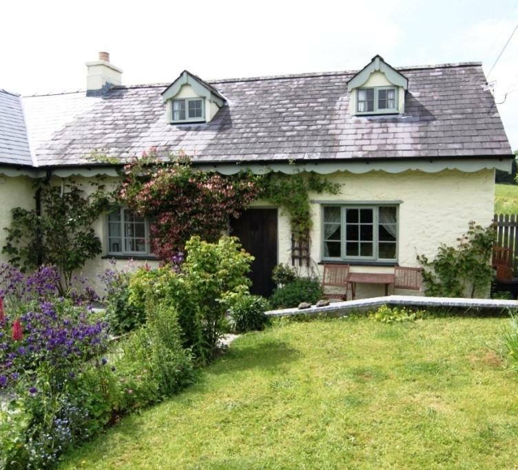 Parc Y Brenin Villa Dryslwyn Eksteriør billede