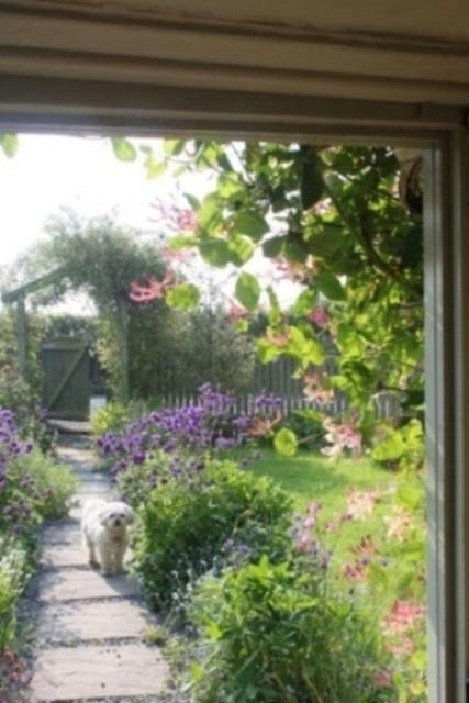Parc Y Brenin Villa Dryslwyn Eksteriør billede